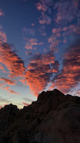 Joshua Tree National Park.