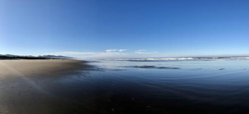 Morning at Manzanita