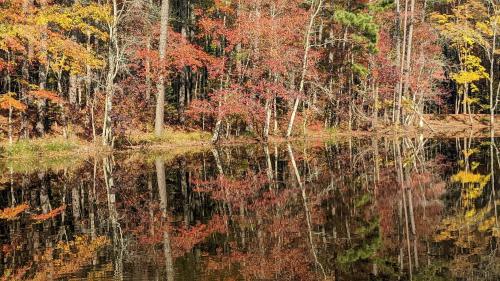 Fall in North Carolina