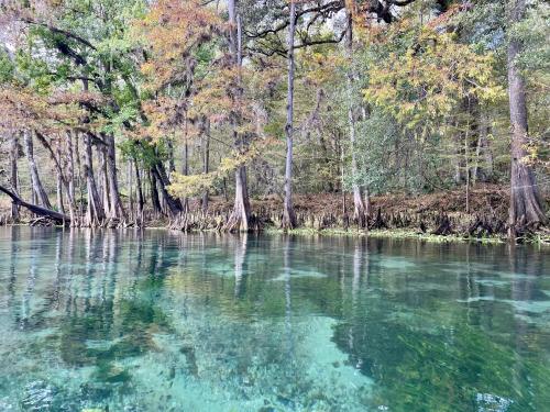 Ichetucknee Springs State Park, Florida