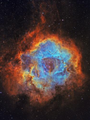 The Rosette Nebula from My Backyard