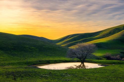 The green hills of California