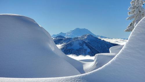 Rainier From Granite Mountain, WA