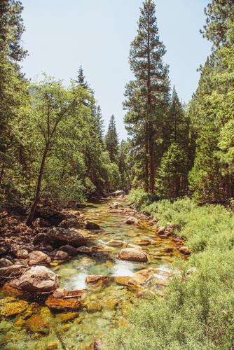 River flowing through Yosemite National Park, CA