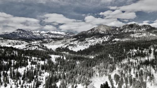 San Juan Mountains, Colorado, USA | Piedra River |