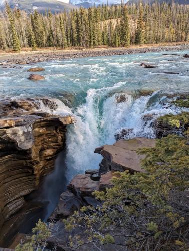 Athabaskan Falls, Jasper, Canada