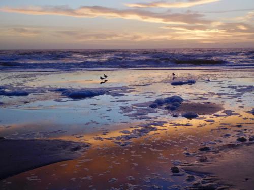 Amelia Island, FL