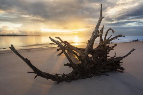 Driftwood Sunrise, Palm Coast, Florida