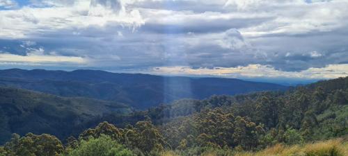 Tarra Bulga, Vic, Australia