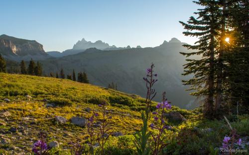 Witnessed a stunning sunrise while backpacking in the Grand Tetons last summer
