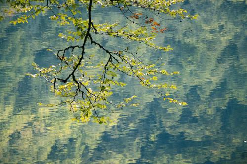 Reflections of trees in Lac de Bethmale, France