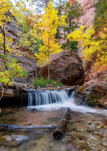 Kanarra Creek Canyon UT