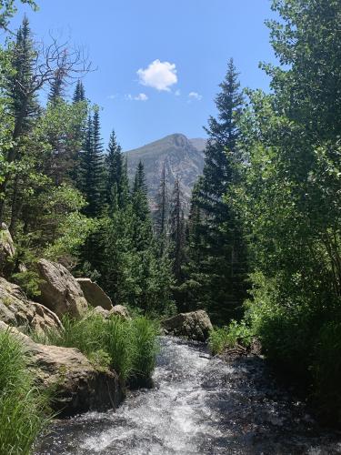 Along Tyndall Creek in Rocky Mountain National Park