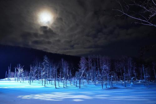 winter light up at Shirogane Blue Pond, Hokkaido, Japan