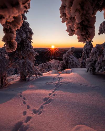 Finnish wilderness at sunset, a magical moment