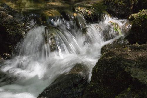 Playing with shutter speed, Dolgoch Falls, Wales