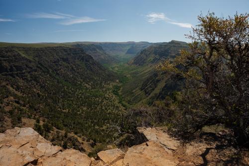 Steens Mountain, Oregon.