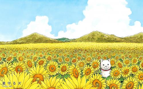 Dog in flowers