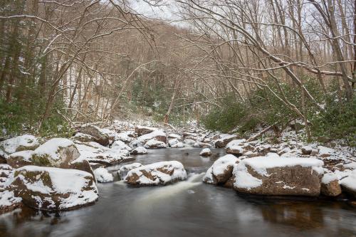 Otter Creek in Otter Creek Wilderness, West Virginia USA