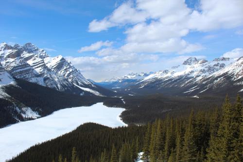 Peyto Lake, Alberta