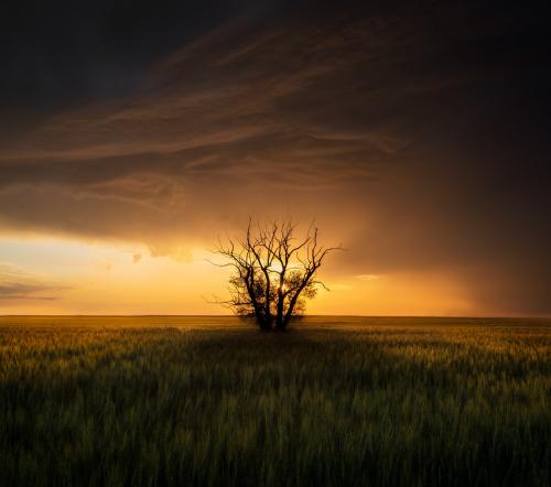 Mid Storm Sunset. Alberta, Canada.