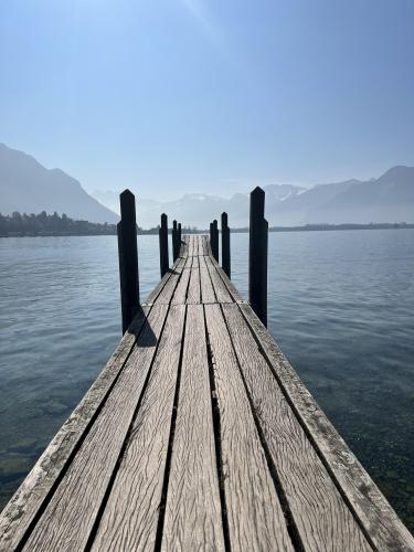 Lake Geneva, Switzerland [3024 x 4032] OC