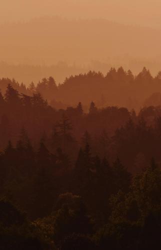 Sunrise near Gresham, Oregon