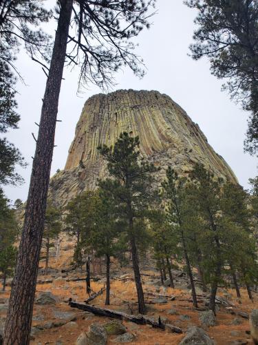 Devils Tower Wyoming