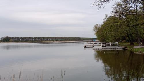 Wolsztyn Lake in Poland