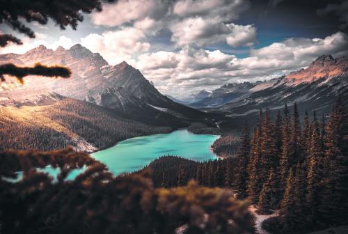 Just a Beautiful View..