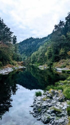 Tillamook National Forest, Oregon.