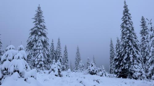 Winter Wonderland, California