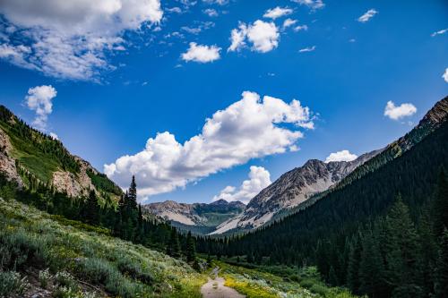 Crested butte woods walk