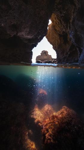 Just below the surface, near Praya de Rocha, Portugal