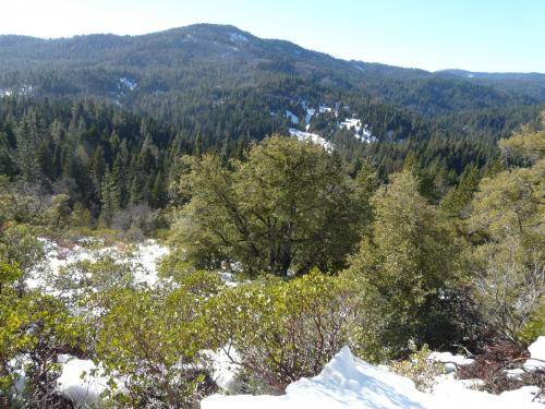 Yosemite, California USA, Jan. 2013