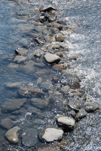 A close-up in the Hoh River, WA