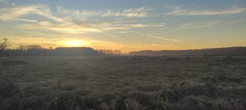 Mentor Marsh Ohio