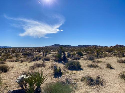 Desert Hot Springs, CA  Bird within the clouds.