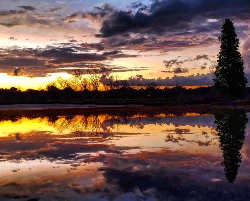 Sunset reflected in a puddle, Tampa, FL.