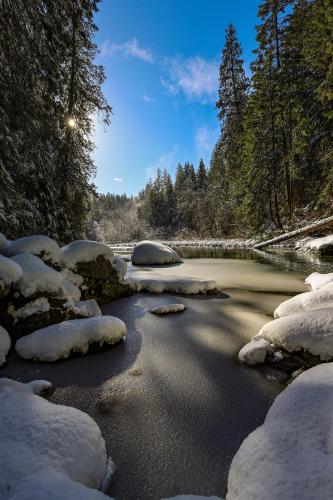 Lynn Creek after a snowfall, BC Canada