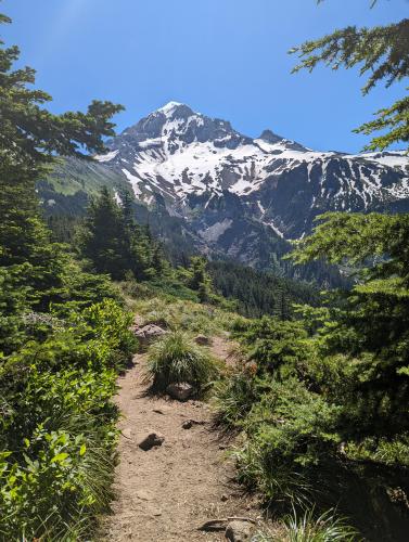 Mt Hood, Oregon.