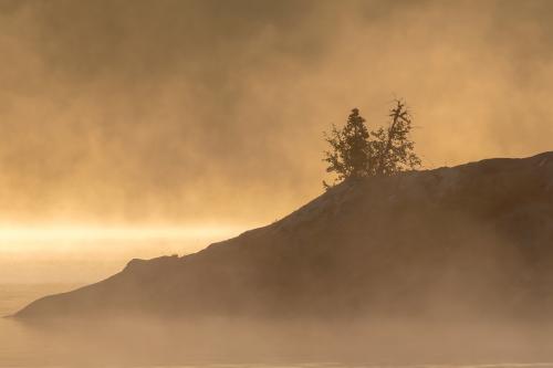 Misty morning, Ølsjøen, Norway