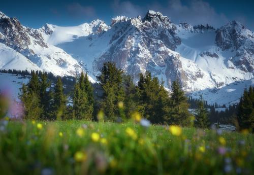 Tien-Shan mountains, Kyrgyzstan