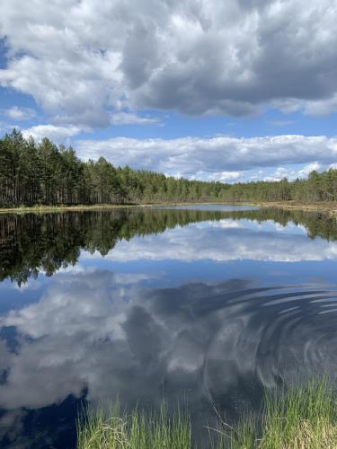 Swedish lake in the middle of a forest!