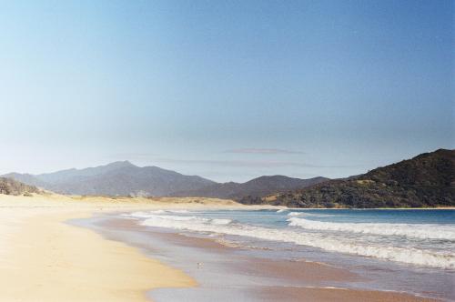 Coromandel, New Zealand on 35mm film