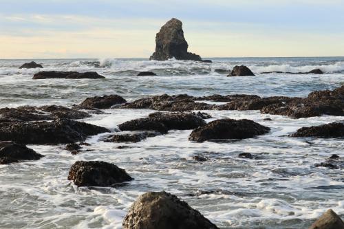 Kelp-Covered Rocks - Shi Shi Beach, Neah Bay, WA