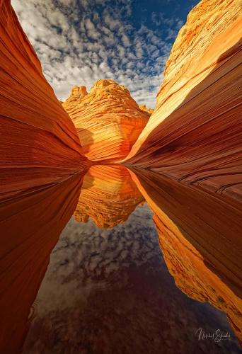 The Wave, Coyote Buttes North, Arizona, USA | OC | 1000 X 685 | IG: @thelightexplorer