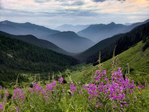 A Hazy Morning in the North Cascades