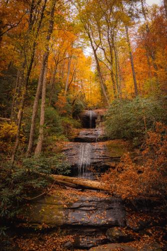 Autumn color in the Georgia mountains