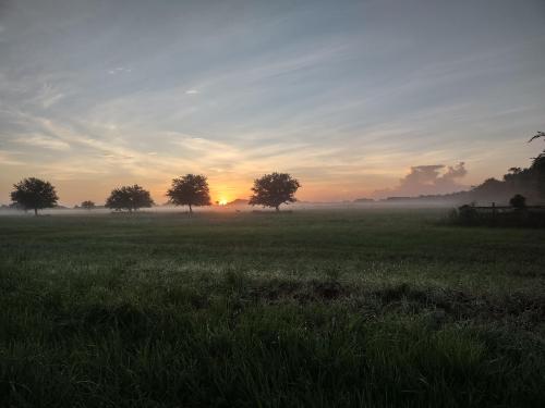 Sunrise at Dinner Island Ranch WMA